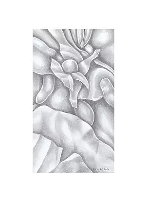 Mariusz Malinowski - No title