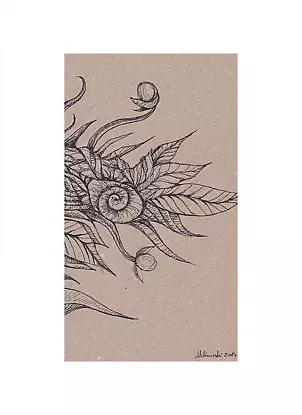 Mariusz Malinowski - No title