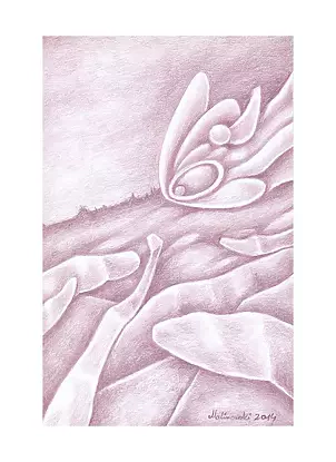 Mariusz Malinowski - No title