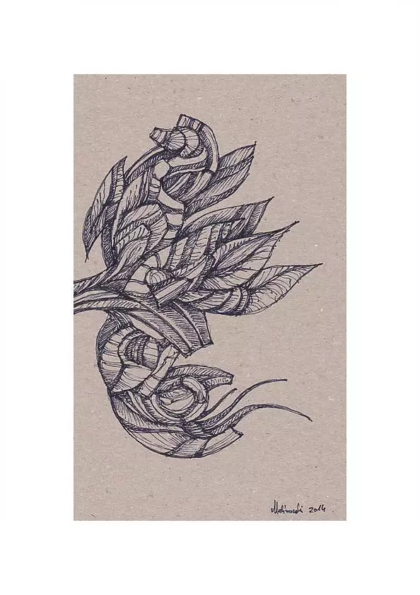 Mariusz Malinowski - No title