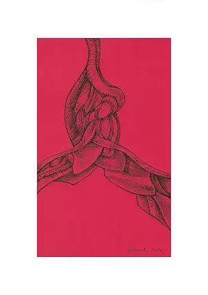 Mariusz Malinowski - No title