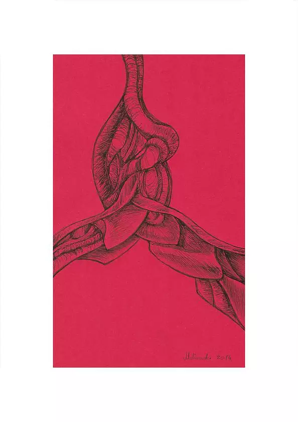 Mariusz Malinowski - No title