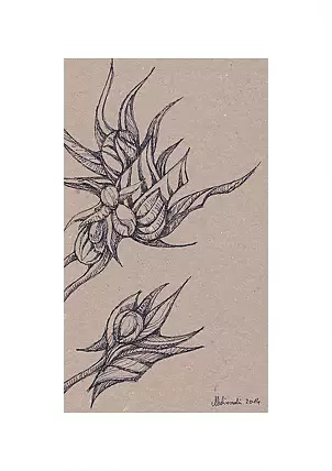 Mariusz Malinowski - No title