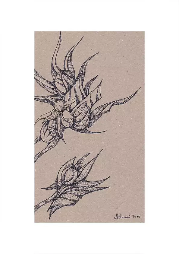 Mariusz Malinowski - No title