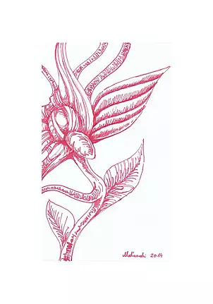 Mariusz Malinowski - No title