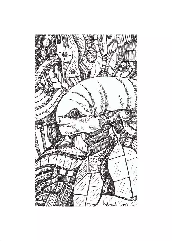 Mariusz Malinowski - No title