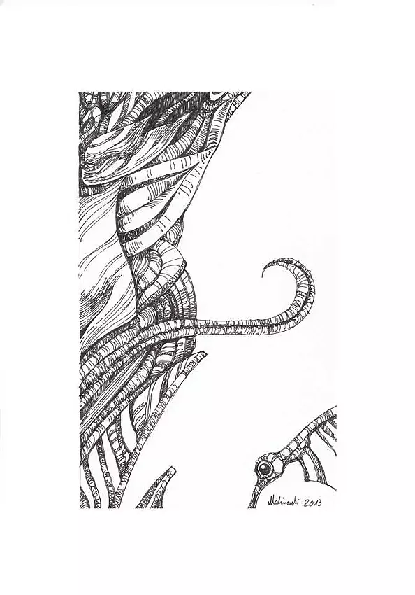 Mariusz Malinowski - No title