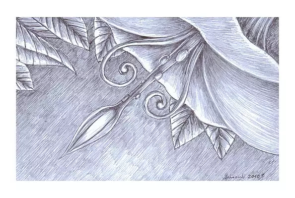 Mariusz Malinowski - No title