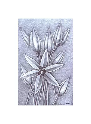 Mariusz Malinowski - No title