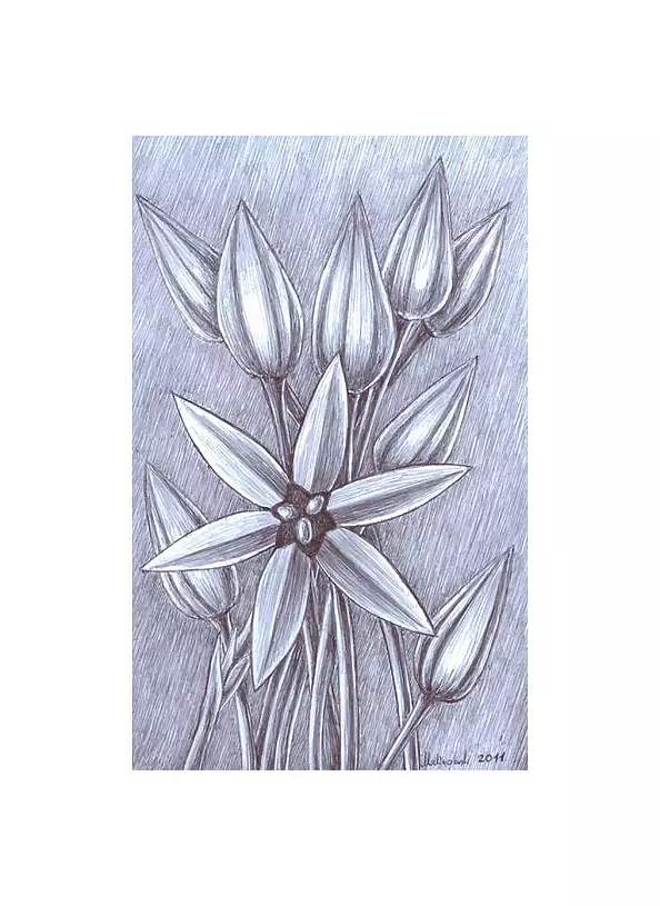 Mariusz Malinowski - No title