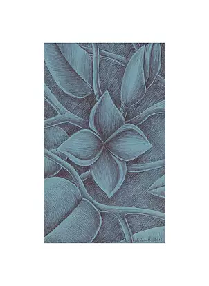 Mariusz Malinowski - No title