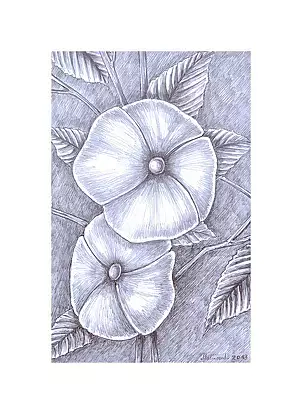 Mariusz Malinowski - No title