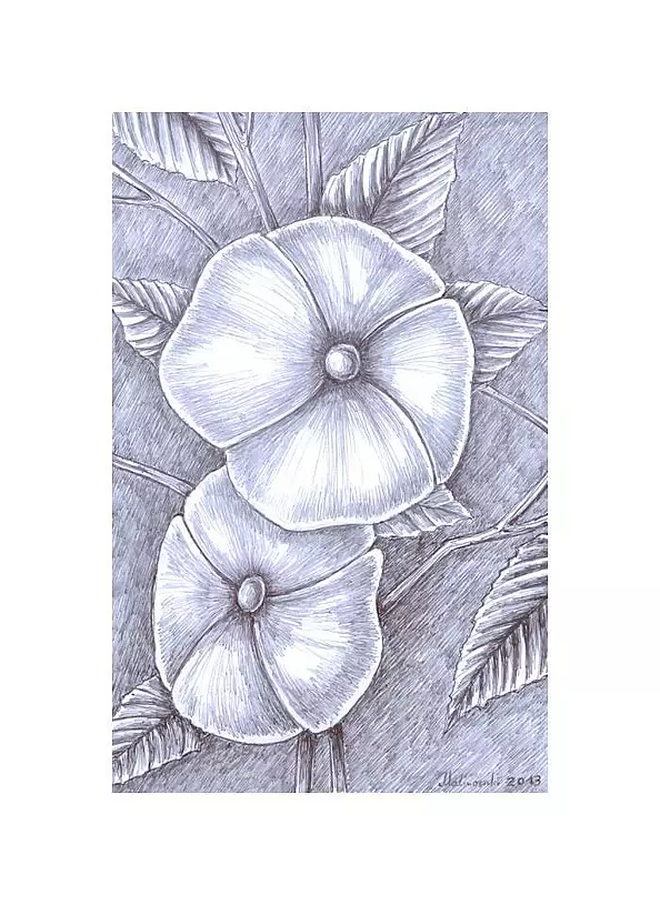 Mariusz Malinowski - No title