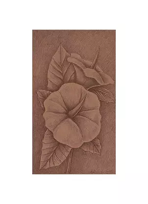 Mariusz Malinowski - No title