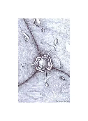 Mariusz Malinowski - No title