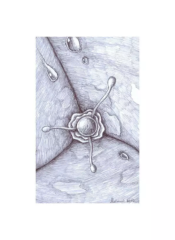 Mariusz Malinowski - No title