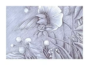 Mariusz Malinowski - No title