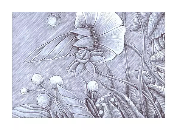 Mariusz Malinowski - No title