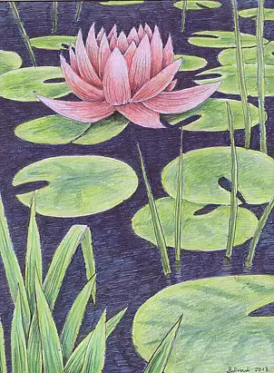 Mariusz Malinowski - No title