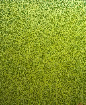 Tadeusz Gazda - No title