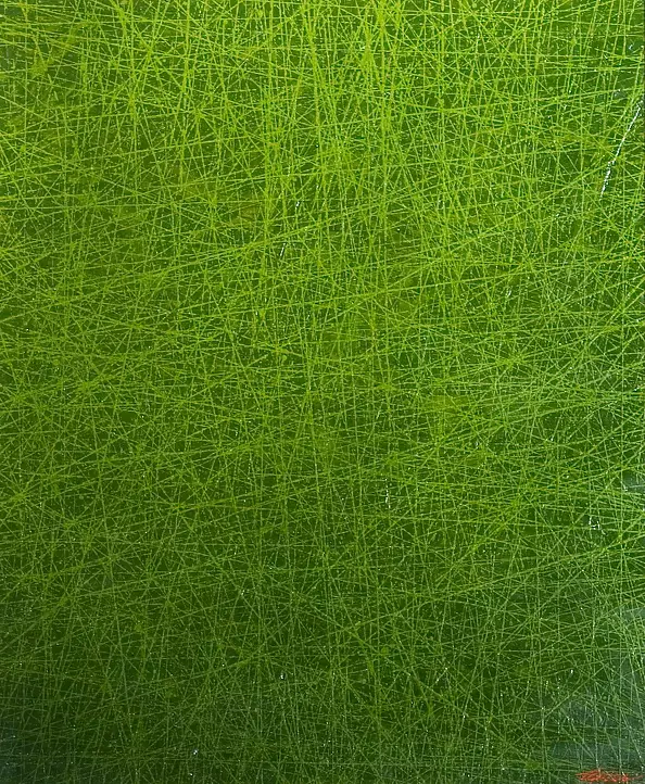 Tadeusz Gazda - No title