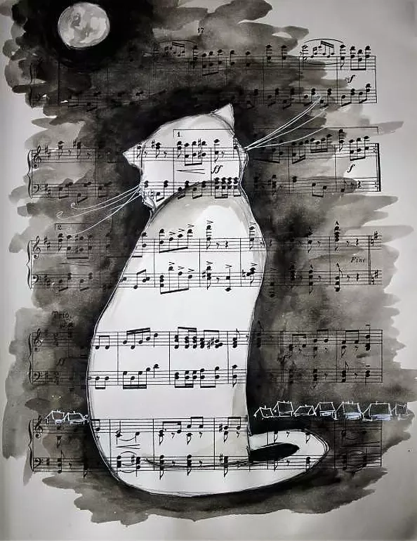 Adriana Laube - Night cat season