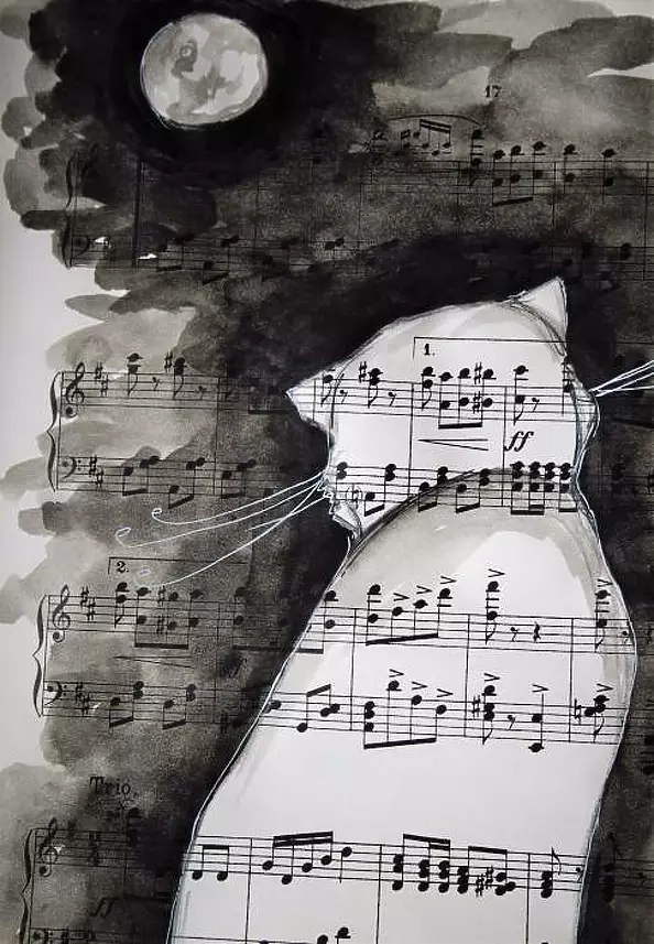 Adriana Laube - Night cat season