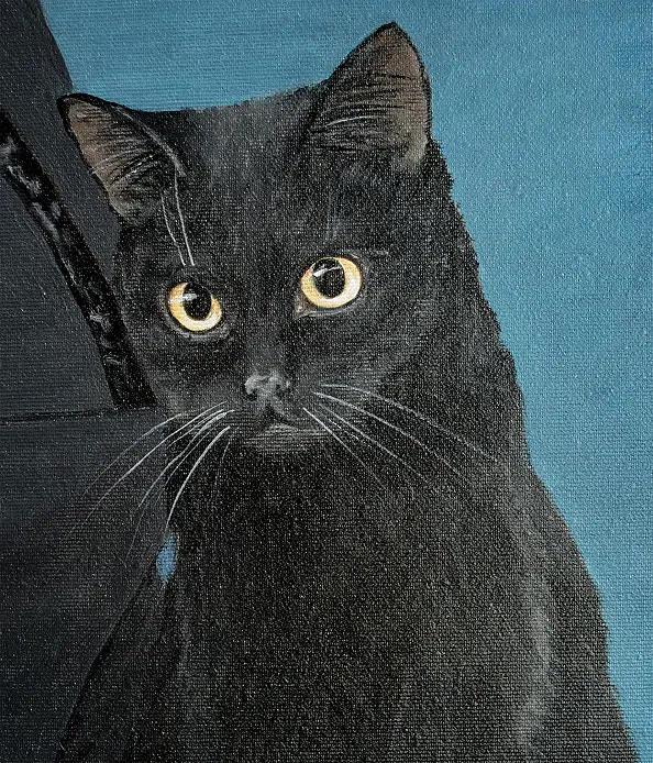 Nataliya Bagatskaya - Night Guardians of the Universe Ball