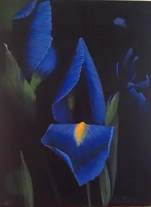 Marija Holubieva - "Night Iris"