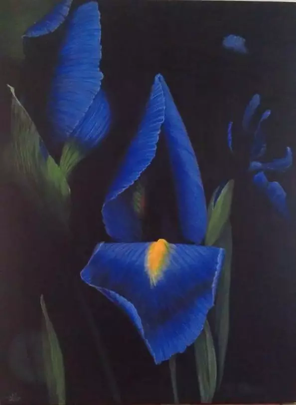 Marija Holubieva - "Night Iris"