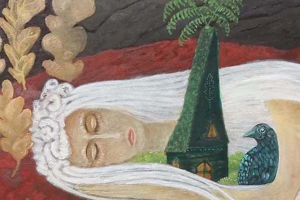 Elżbieta Goszczycka - Nocny gość