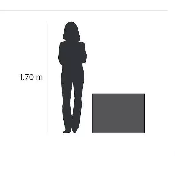 Elżbieta Goszczycka - Night course