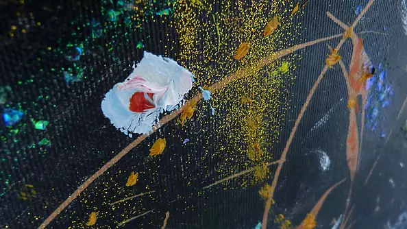 Elżbieta Goszczycka - Night course