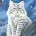 Luba Santkiewicz, Nachtjägerkatze, Acrylgemälde - Leinwand, 40 x 50