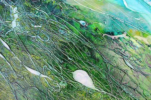 Rachel McCullock - Nordic Waters