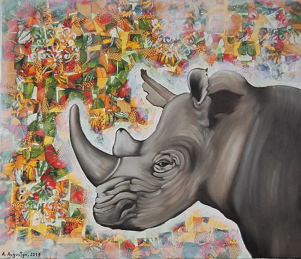 Amelia Augustyn - Rhinoceros