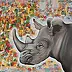 Amelia Augustyn - Rhinoceros