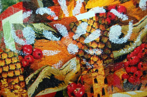 Amelia Augustyn - Rhinoceros