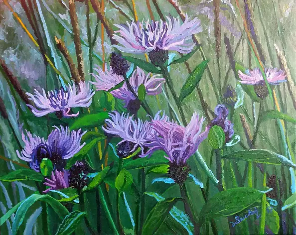 Katarzyna Suchoń - Nostalgia