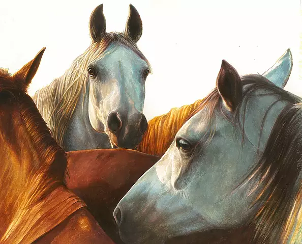 Marzena Zuk - Nostalgia