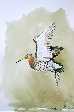 Zdzisław Rutkowski - Nowy Rycyk