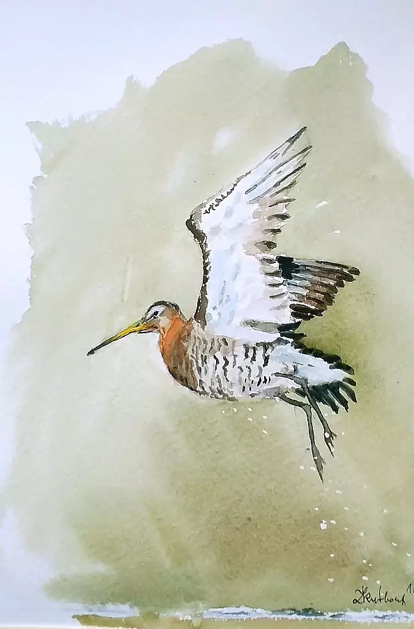 Zdzisław Rutkowski - Nowy Rycyk