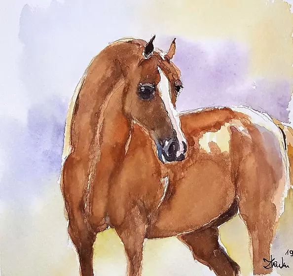 Zdzisław Rutkowski - Nowy koń