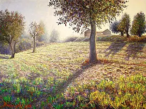   - The effect of light on the walnut grove