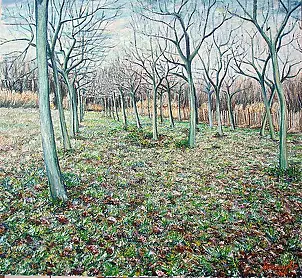   - Lasek nutty, gray weather