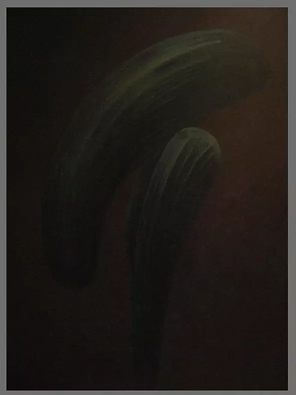 Jaroslaw Mueller-Szarabajko - OBCOŚĆ