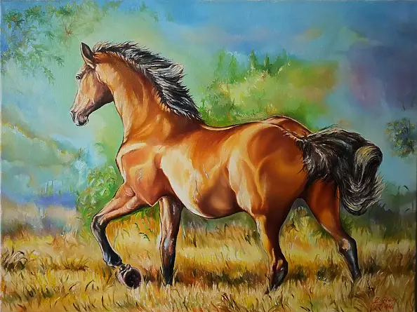 Zenon Gleń - At dawn