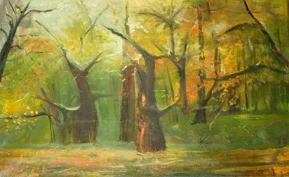 Rozalia Nowak - Oaks in Rogalin