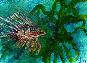 Marzena Salwowska - Seen underwater/2