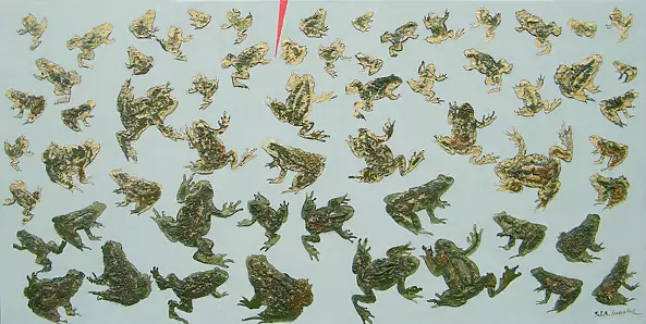 Stanisław Tomalak - Image 43 (frogs)